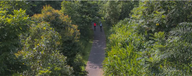 Lush Green Pathway: A serene, tree-lined pathway through the lush green Rail Corridor, inviting for morning walks or peaceful bike rides surrounded by nature’s tranquility.
